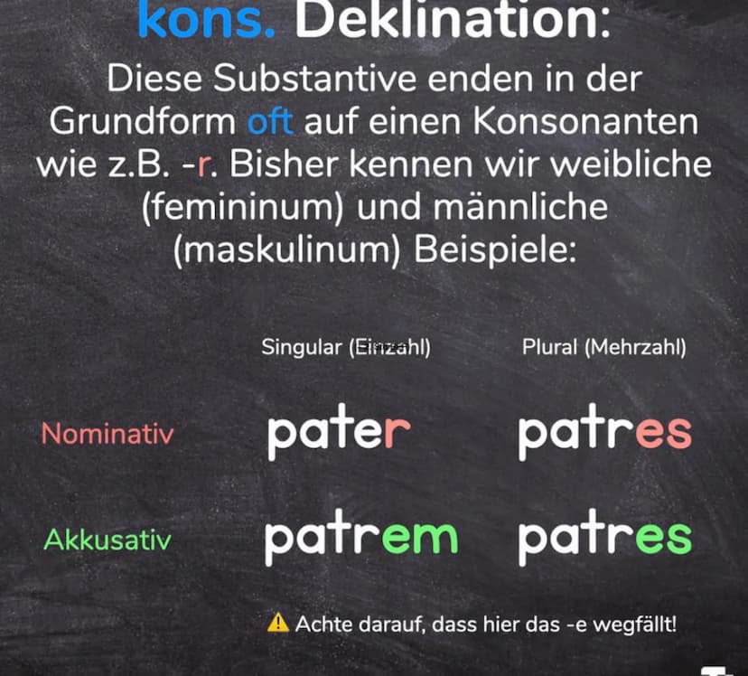 LATEIN-GRAMMATIK
GRAMMATISCHE
FACHBEGRIFFE Grammatische Fachbegriffe
sind zwar wie Vokabeln, die man lernen muss, aber sie
helfen einem, kon