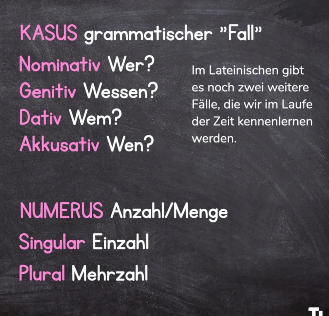 LATEIN-GRAMMATIK
GRAMMATISCHE
FACHBEGRIFFE Grammatische Fachbegriffe
sind zwar wie Vokabeln, die man lernen muss, aber sie
helfen einem, kon