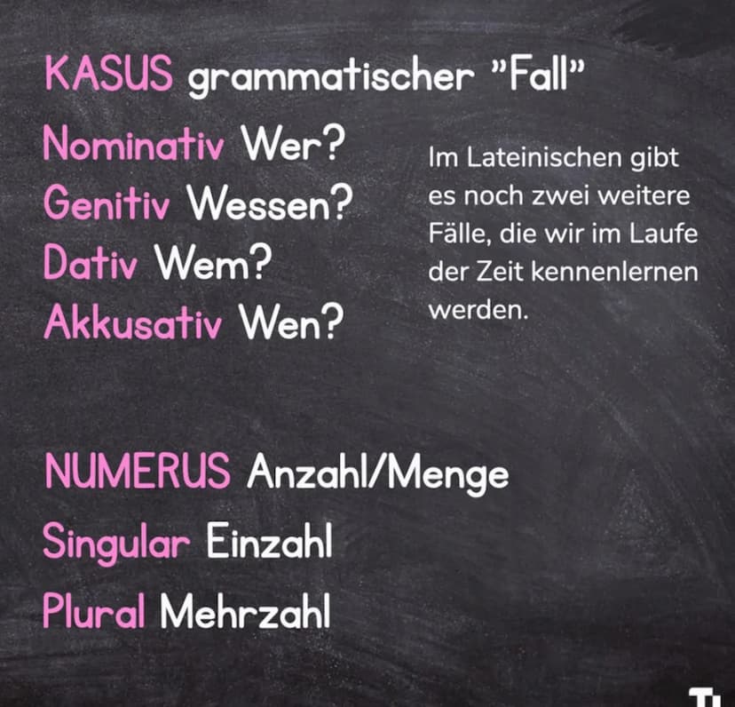LATEIN-GRAMMATIK
GRAMMATISCHE
FACHBEGRIFFE Grammatische Fachbegriffe
sind zwar wie Vokabeln, die man lernen muss, aber sie
helfen einem, kon