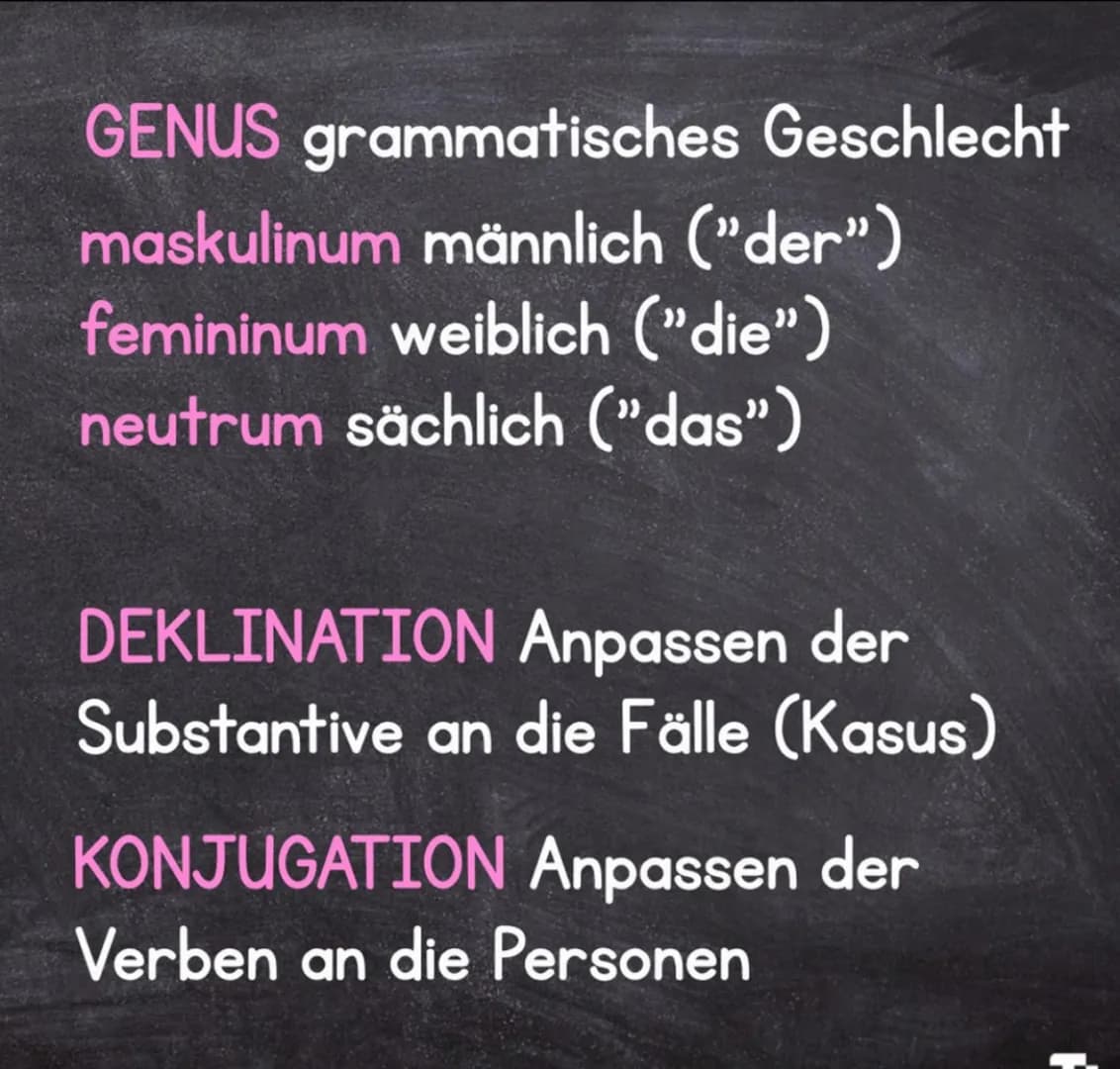 LATEIN-GRAMMATIK
GRAMMATISCHE
FACHBEGRIFFE Grammatische Fachbegriffe
sind zwar wie Vokabeln, die man lernen muss, aber sie
helfen einem, kon