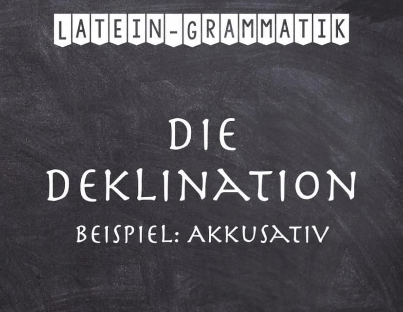 LATEIN-GRAMMATIK
GRAMMATISCHE
FACHBEGRIFFE Grammatische Fachbegriffe
sind zwar wie Vokabeln, die man lernen muss, aber sie
helfen einem, kon