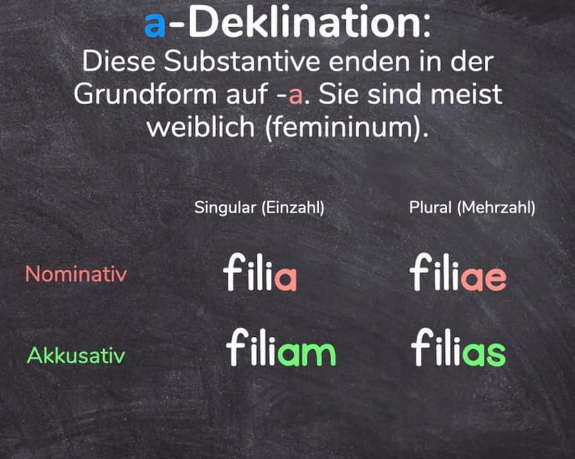 LATEIN-GRAMMATIK
GRAMMATISCHE
FACHBEGRIFFE Grammatische Fachbegriffe
sind zwar wie Vokabeln, die man lernen muss, aber sie
helfen einem, kon