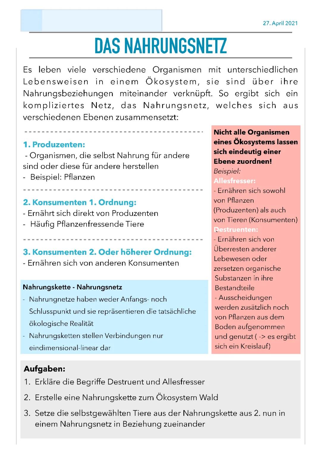 Das Nahrungsnetz verstehen: Ein Gruppenprojekt mit Aufgaben