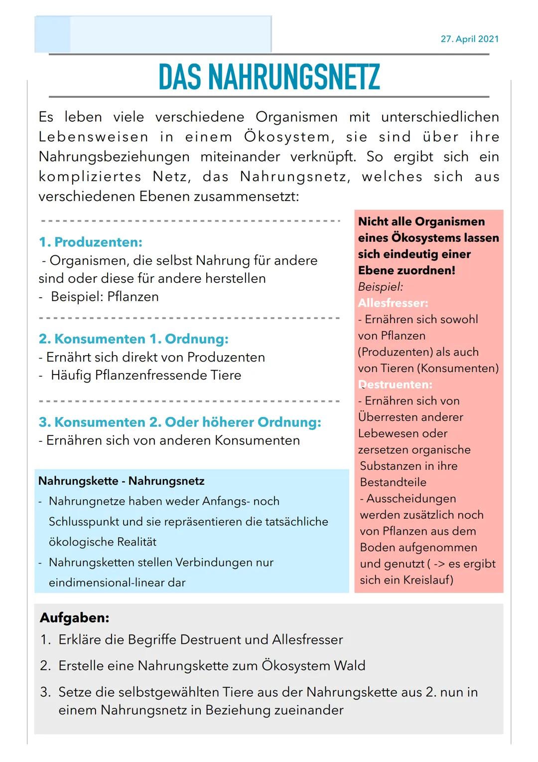 DAS NAHRUNGSNETZ
Es leben viele verschiedene Organismen mit unterschiedlichen
Lebensweisen in einem Ökosystem, sie sind über ihre
Nahrungsbe