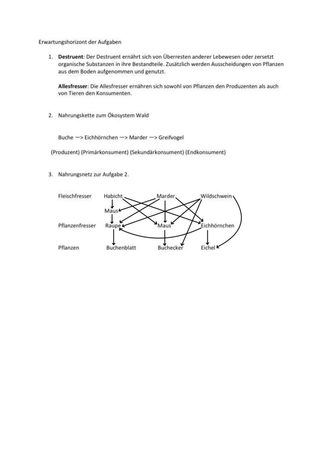 DAS NAHRUNGSNETZ
Es leben viele verschiedene Organismen mit unterschiedlichen
Lebensweisen in einem Ökosystem, sie sind über ihre
Nahrungsbe