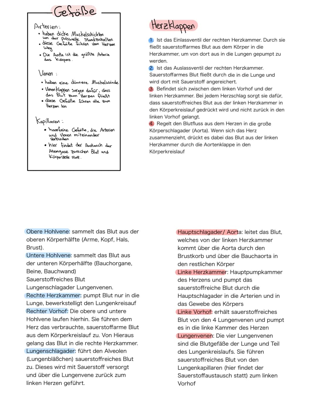 Anatomie Herz
ALLGEMEINES
Das Herz wird in der Medizin auch ,Cor" oder "Kardia" genannt.
Das Herz ist das zentrale Organ des kardiovaskuläre