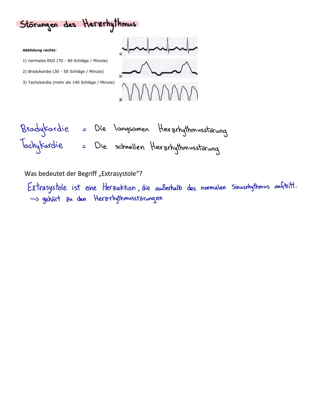 Anatomie Herz
ALLGEMEINES
Das Herz wird in der Medizin auch ,Cor" oder "Kardia" genannt.
Das Herz ist das zentrale Organ des kardiovaskuläre