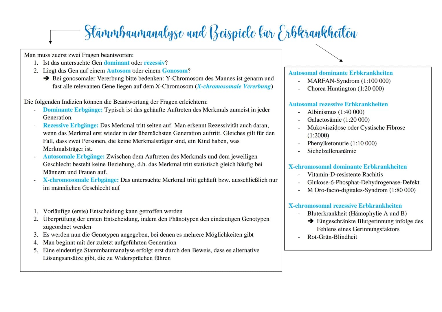 Modifikationen sind nicht erbliche phänotypische
Veränderungen von Lebewesen durch Anpassung an
bestehende Umweltverhältnisse.
Sie finden nu