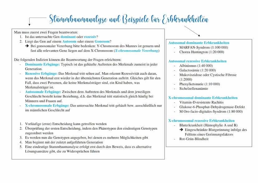 Modifikationen sind nicht erbliche phänotypische
Veränderungen von Lebewesen durch Anpassung an
bestehende Umweltverhältnisse.
Sie finden nu