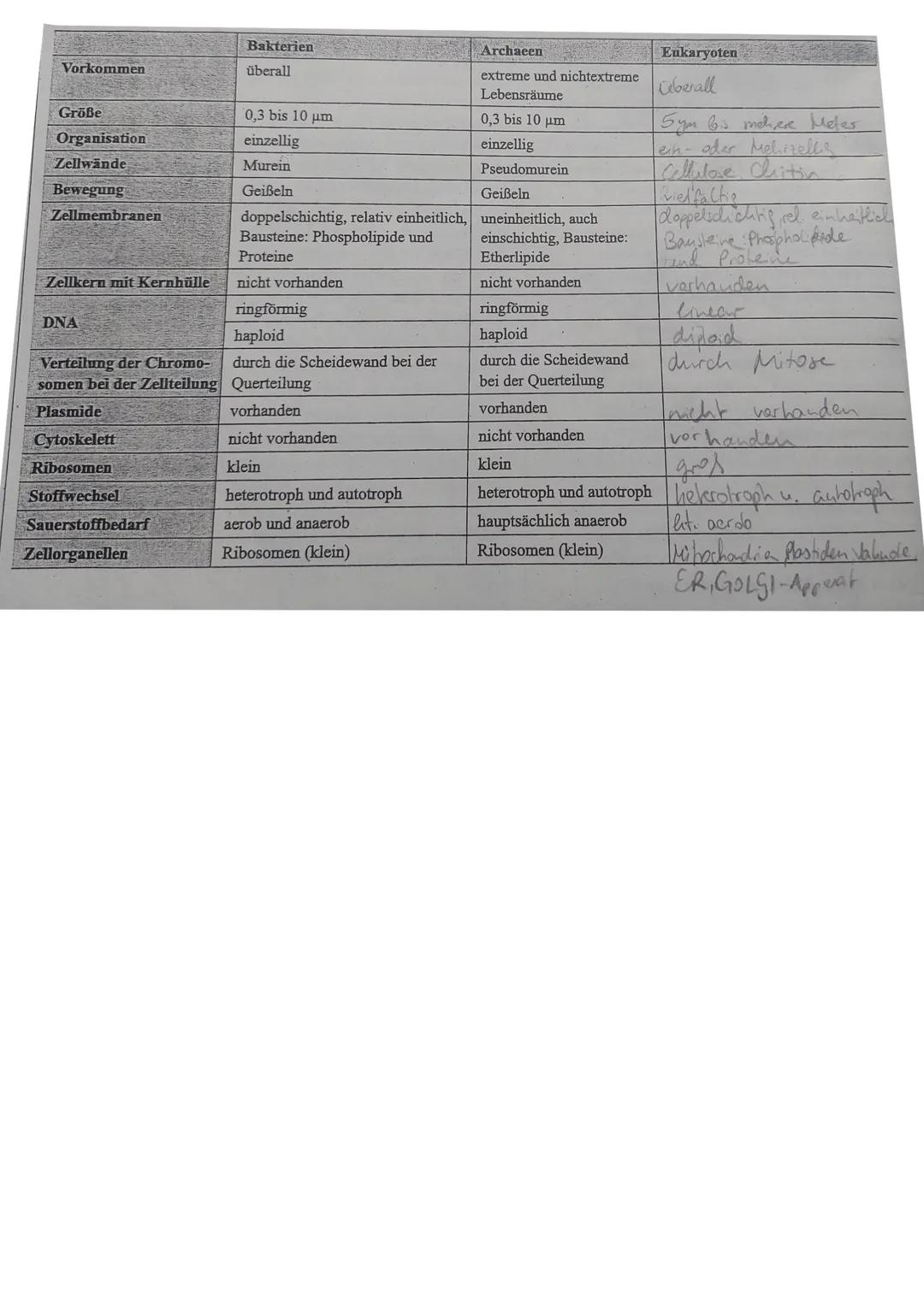 # Biomembran

3 Hauptbestandteile: Proteine, Kohlenhydrate, Lipide (Fette)

Kanalprotein

Extrazellularraum

Kohlenhydratrest
hydrophile Ant