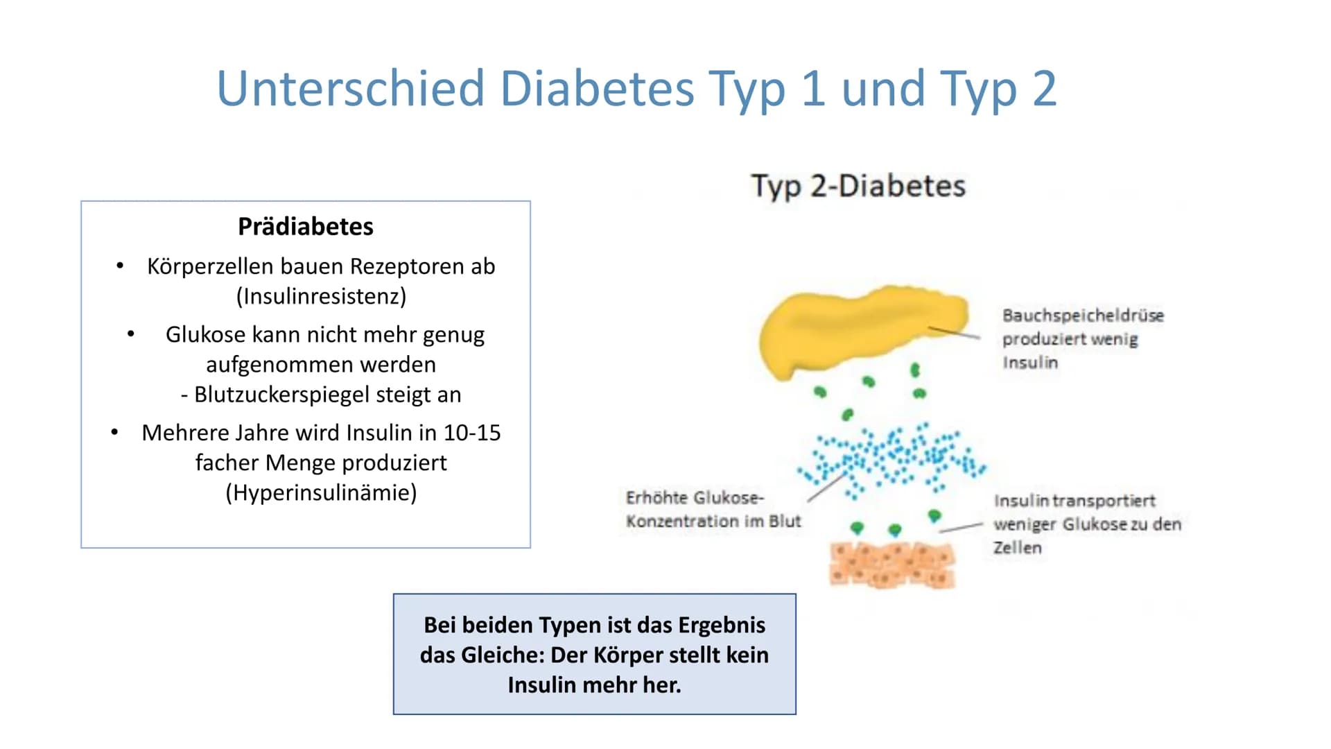 "Altersdiabetes"
im Jugendalter
Inwiefern ist die
Erkrankung heilbar?
lai Was ist Diabetes Typ 2?
Unterscheidung Diabetes Typ 1 und Typ 2
De