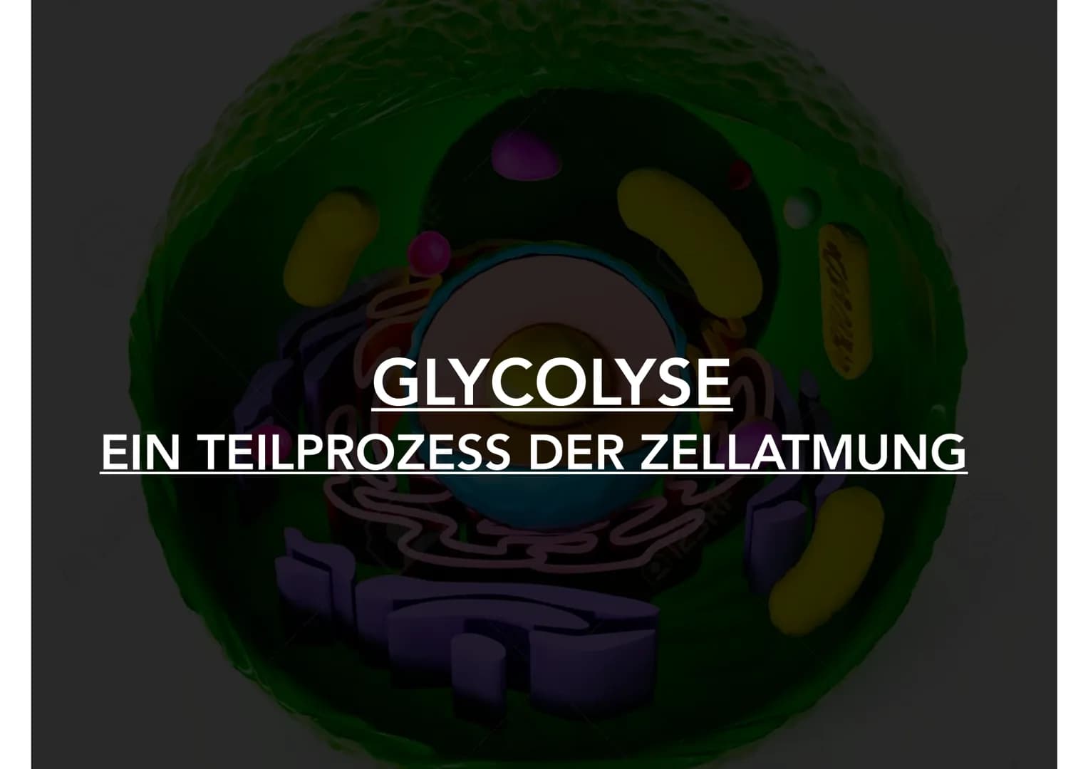 GLYCOLYSE
EIN TEILPROZESS DER ZELLATMUNG
شاہد GLIEDERUNG
1. Allgemeine Informationen
2. Hintergrund
7. Bausteine - Zellmaterial
6. Energiege