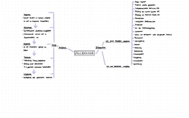 Know Zellbiologie Concept Map thumbnail