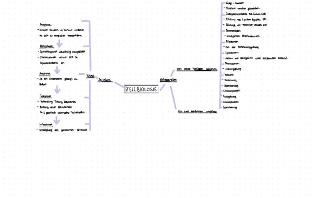 Know Zellbiologie Concept Map thumbnail