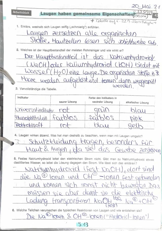 Know Laugen thumbnail