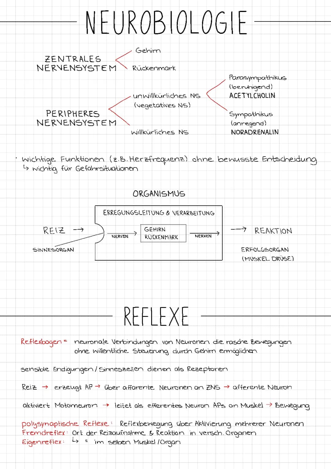 Neurobiologie
