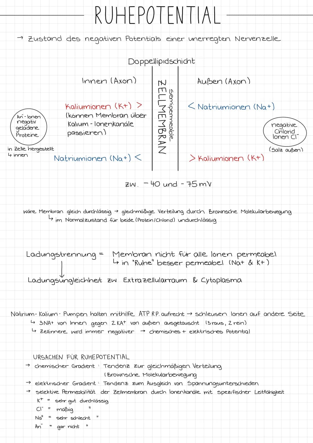 ZENTRALES
NERVENSYSTEM
PERIPHERES
NERVENSYSTEM
NEUROBIOLOGIE
REIZ →
SINNESORGAN
Reiz →
Gehirn
Rückenmark
NERVEN
unwillkurliches NS.
(vegetat