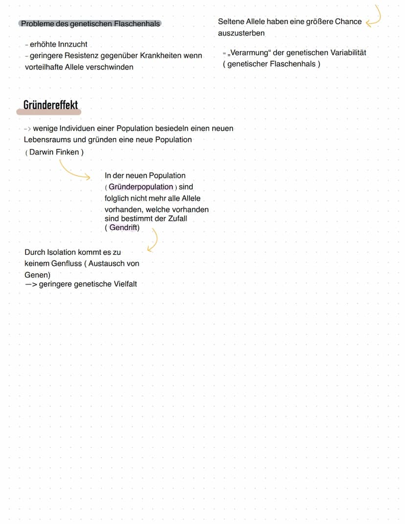 Gendrift und Mechanismen der genetischen Drift
Was ist Gendrift?
Gendrift oder genetische Drift ist
die zufällige Veränderung der
Häufigkeit
