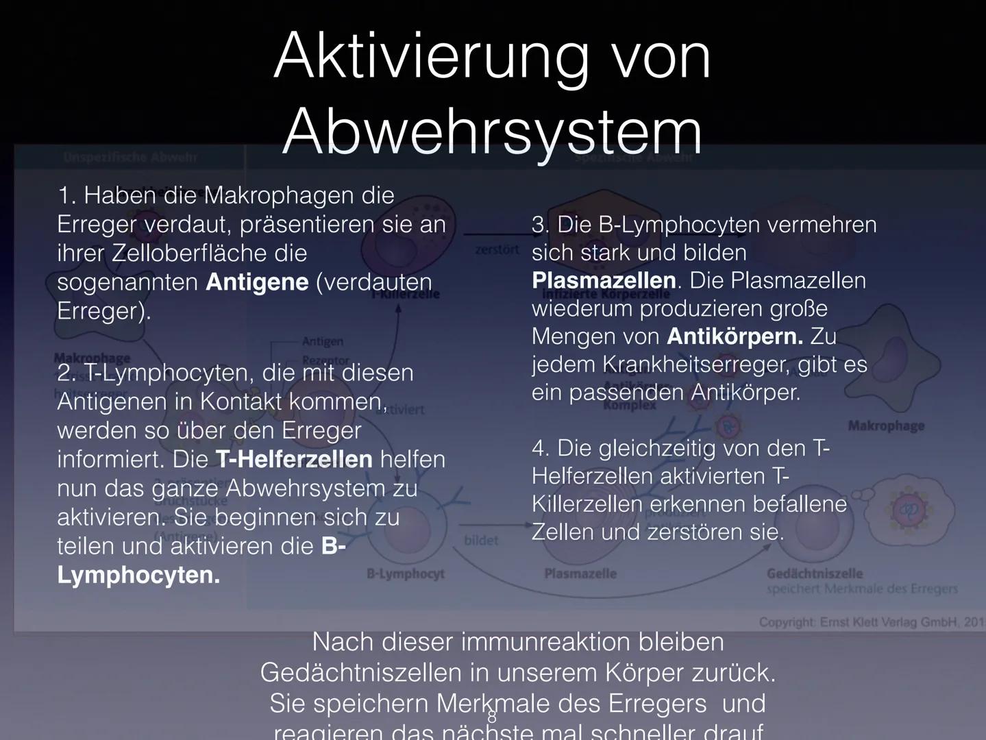 Immunsystem
1 Was ist das Immunsystem?
Arten des Immunsystems
Spezifisches und Unspizifsches immunsystem
Wie wird es aktiviert?
2 Was ist da