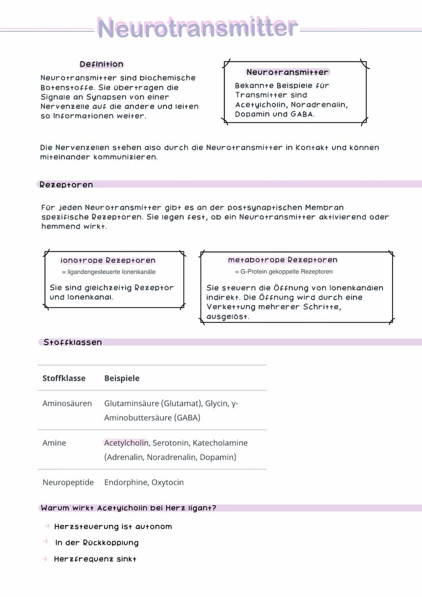 Großhirn
Kleinhirn
Armgeflecht
NERV Nervensystem STEM
Muskel Haut Nerv
Speichennerv
Mittelarmnerv.
Ellennerv
Es gibt das zentrale und das pe