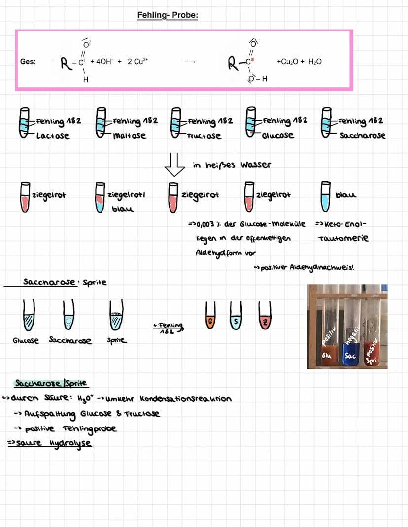 • Monosaccharide (Einfachzucker)
• Disaccharide (Zweifachzucker)
• Polysaccharide (Mehrfachzucker)
Aldose
1. Monosaccharide
Man unterscheide