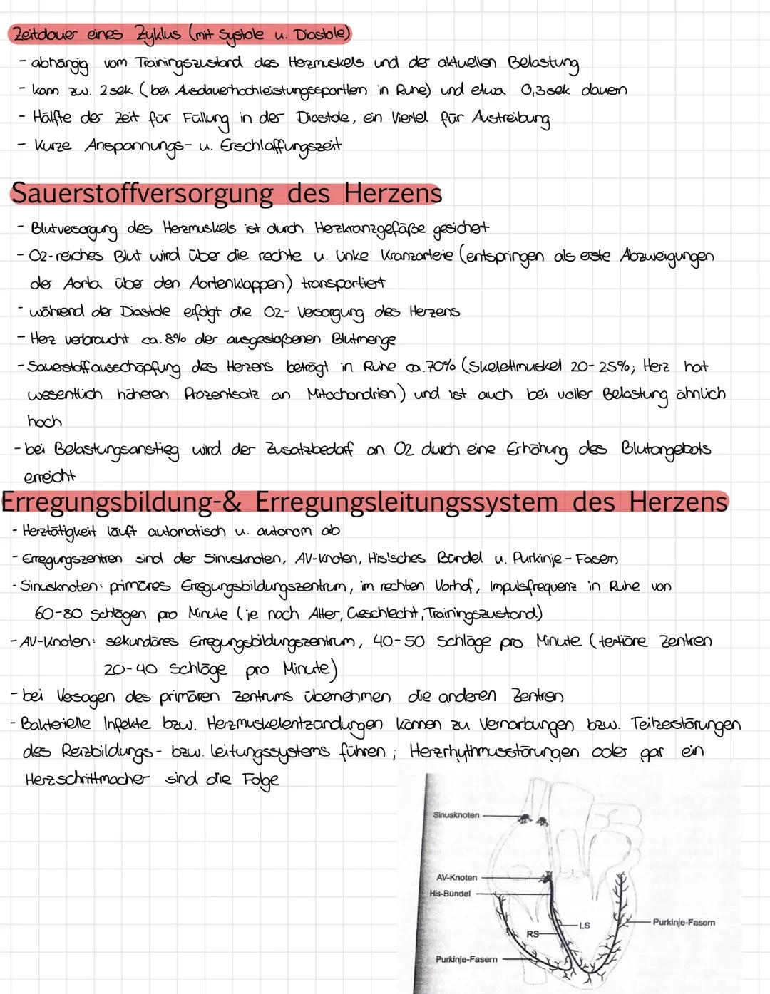 5. Herz-Kreislaufsystem und sportliches Training
-Aorta
1.Herz
obere Hohlvene
Lungen-
kreislauf
Pulmonalklappe.
rechter Vorhof
obere Hohlven