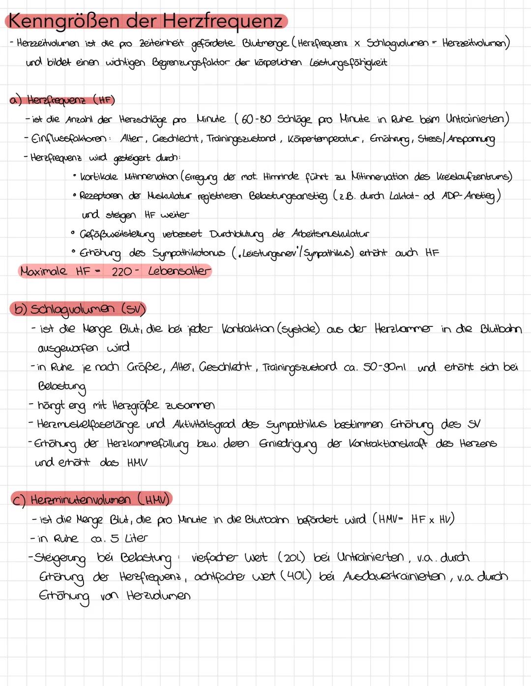 5. Herz-Kreislaufsystem und sportliches Training
-Aorta
1.Herz
obere Hohlvene
Lungen-
kreislauf
Pulmonalklappe.
rechter Vorhof
obere Hohlven