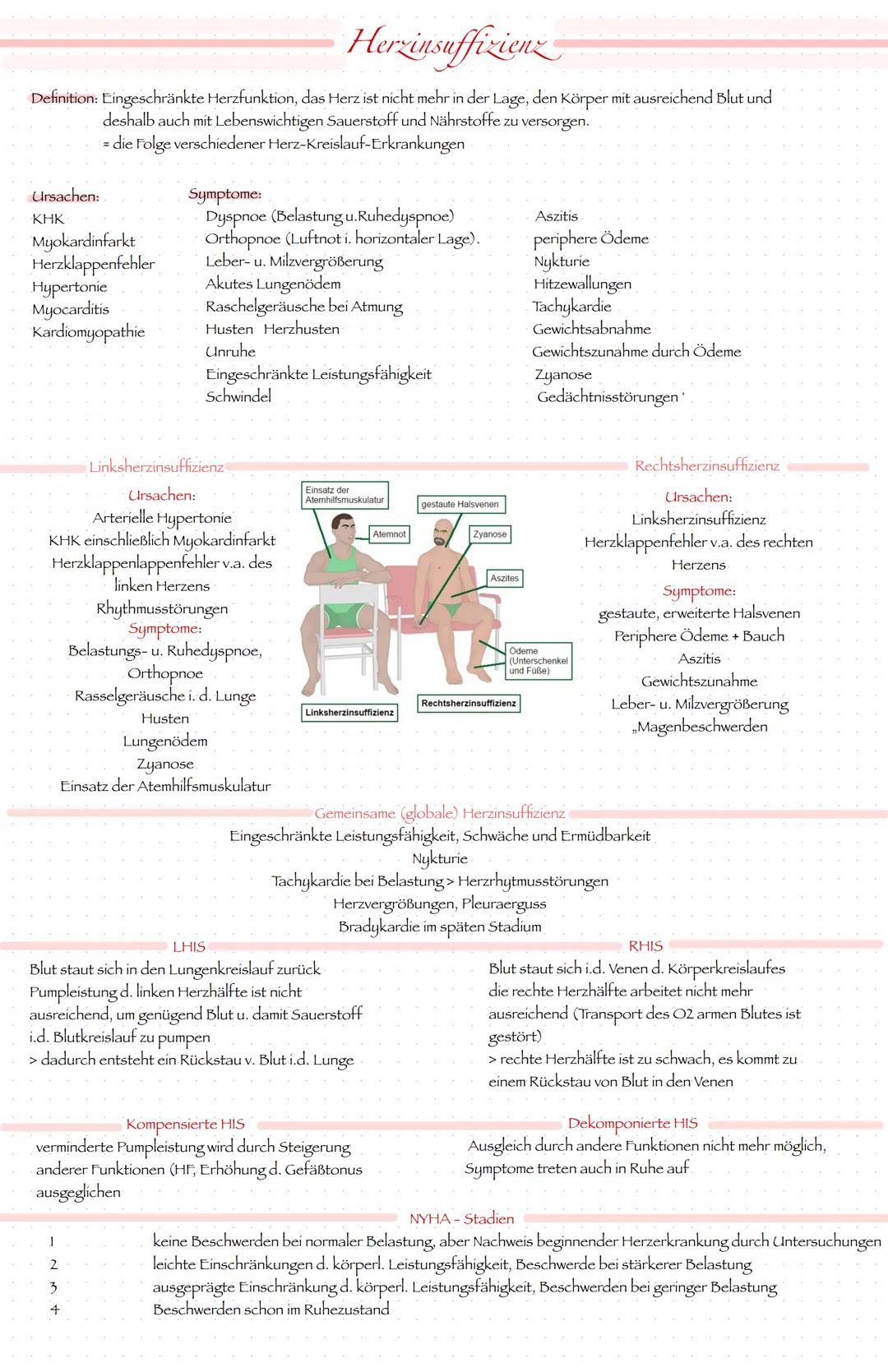 Her insuffizienz
Definition: Eingeschränkte Herzfunktion, das Herz ist nicht mehr in der Lage, den Körper mit ausreichend Blut und
deshalb a