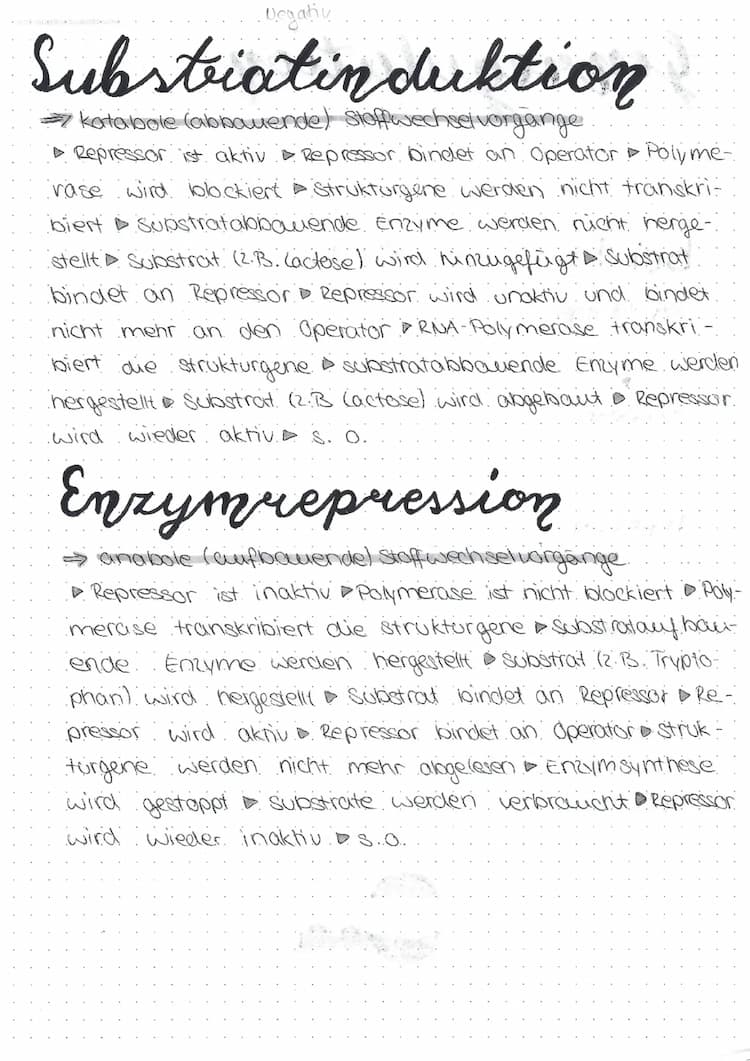 Know Enzymrepression und Substratinduktion thumbnail