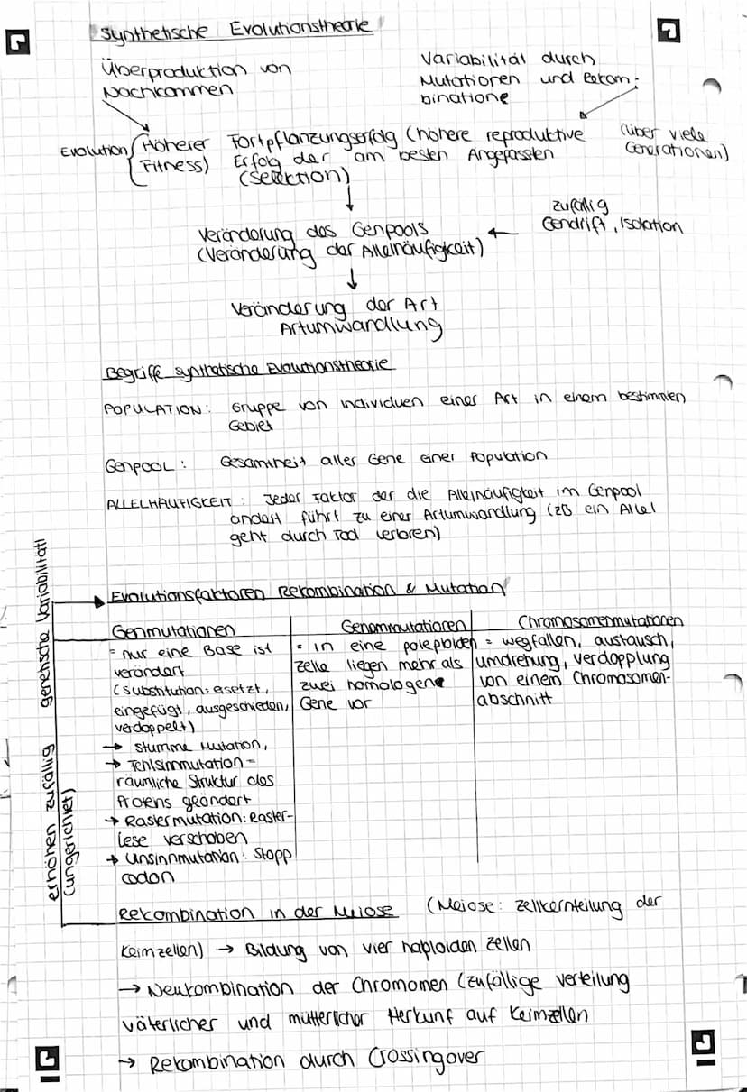 ren
ut
L
W
BIO Klausur 2.02
Evolutionstheorie nach Lamarck
Umwelt veränderung führen zu veränderten
Bedürfnissen, führt
Zur Verhaltensänderu