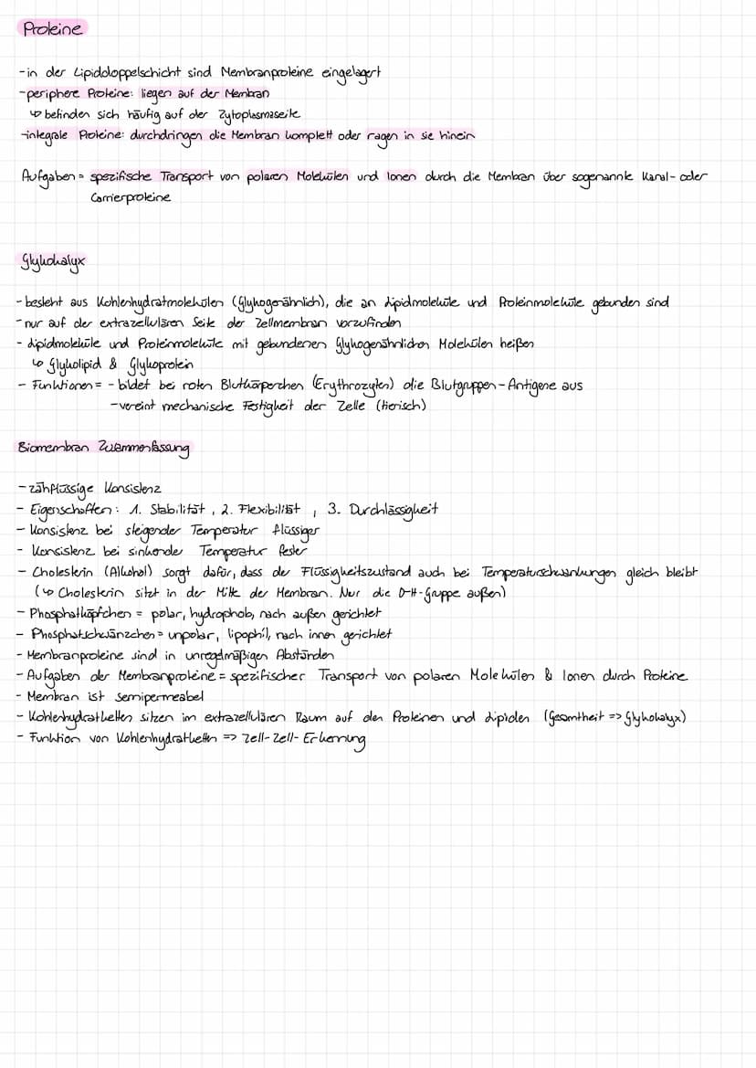 Biomembran
Aufbau:
(Zuclemoleil)
Oligosaccharid
Monosaccharid O
hydrophil
hydrophob
hydrophil
peripheres Protein
extrazellulärer
Raum
interz