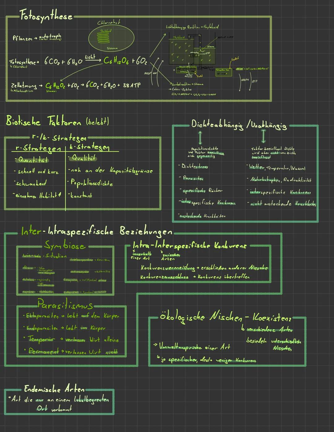# GENETIK

Begriff bersicht

Ab DNA-

Meiese / Milose isch

Mulation & Dekonbination

geneliacher Coule

brolebuleugeneliache Werbrenge

10 