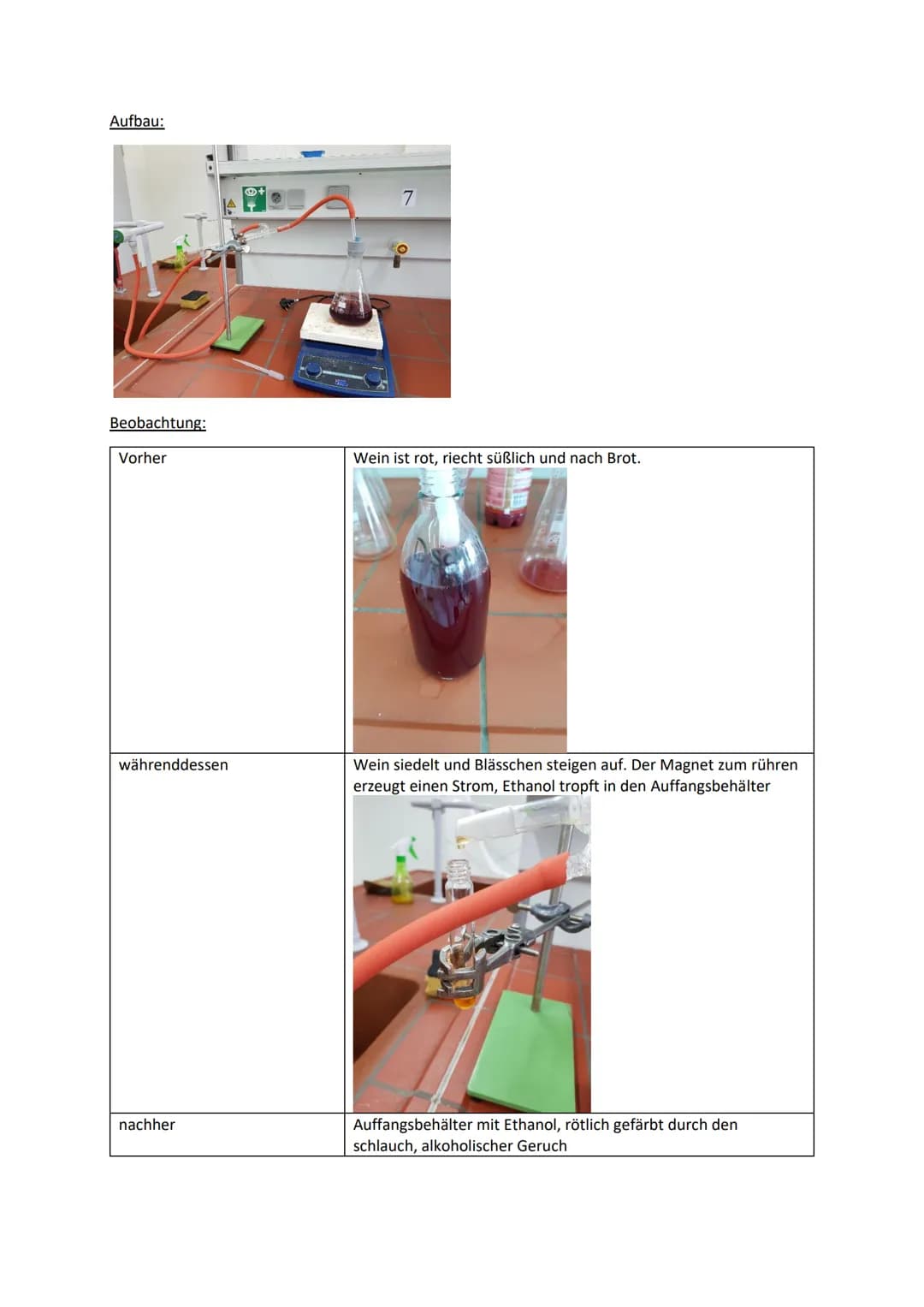 Protokoll
I. Weinherstellung
Aufgabe: Stelle Wein her.
Material: -Hefe (trocken)
-Saft (Kirschsaft)
-Trichter
-Filterpapier
-Flasche
Durchfü