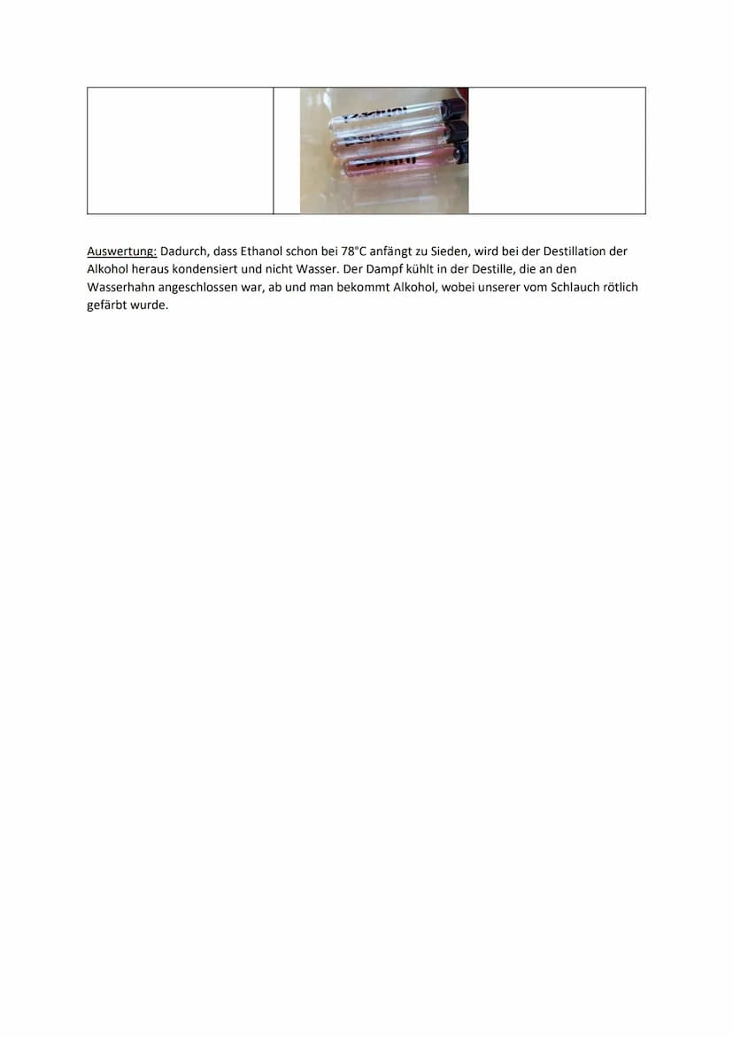Protokoll
I. Weinherstellung
Aufgabe: Stelle Wein her.
Material: -Hefe (trocken)
-Saft (Kirschsaft)
-Trichter
-Filterpapier
-Flasche
Durchfü