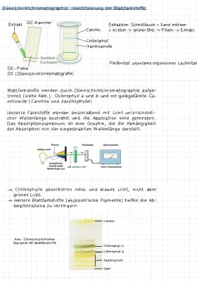 Know Photosynthese- Lichtreaktion thumbnail