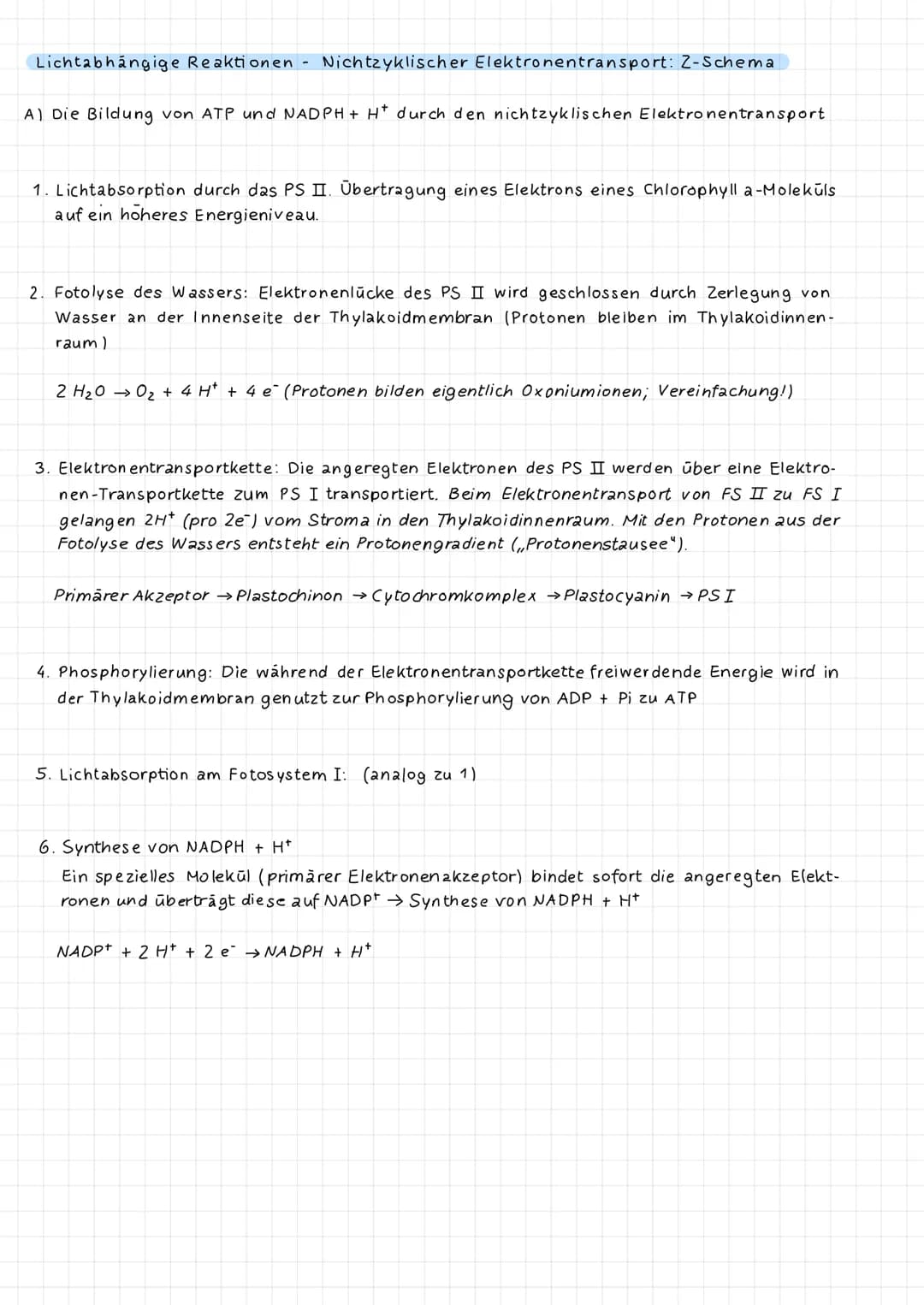 Dunnschichtchromatographie: Identifizierung der Blattfarbstoffe
Extrakt
DC-Kammer
Startlinie.
Fließmittel-
DC-Platte
DC (Dūnnschichtchromato
