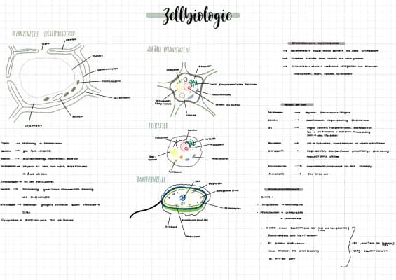 Know Zellbiologie/Biomembran thumbnail