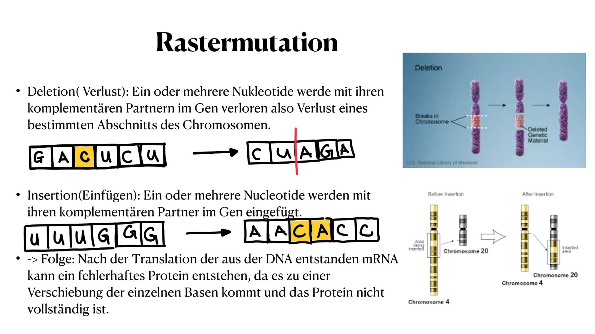 Mutation
Biologie_Lk_12
Julia Said, 23.06.2021 Mutation
Biologie_Lk_12
Julia Said, 23.06.2021 ●
●
●
Gliederung
●
Was sind Mutationen überhau