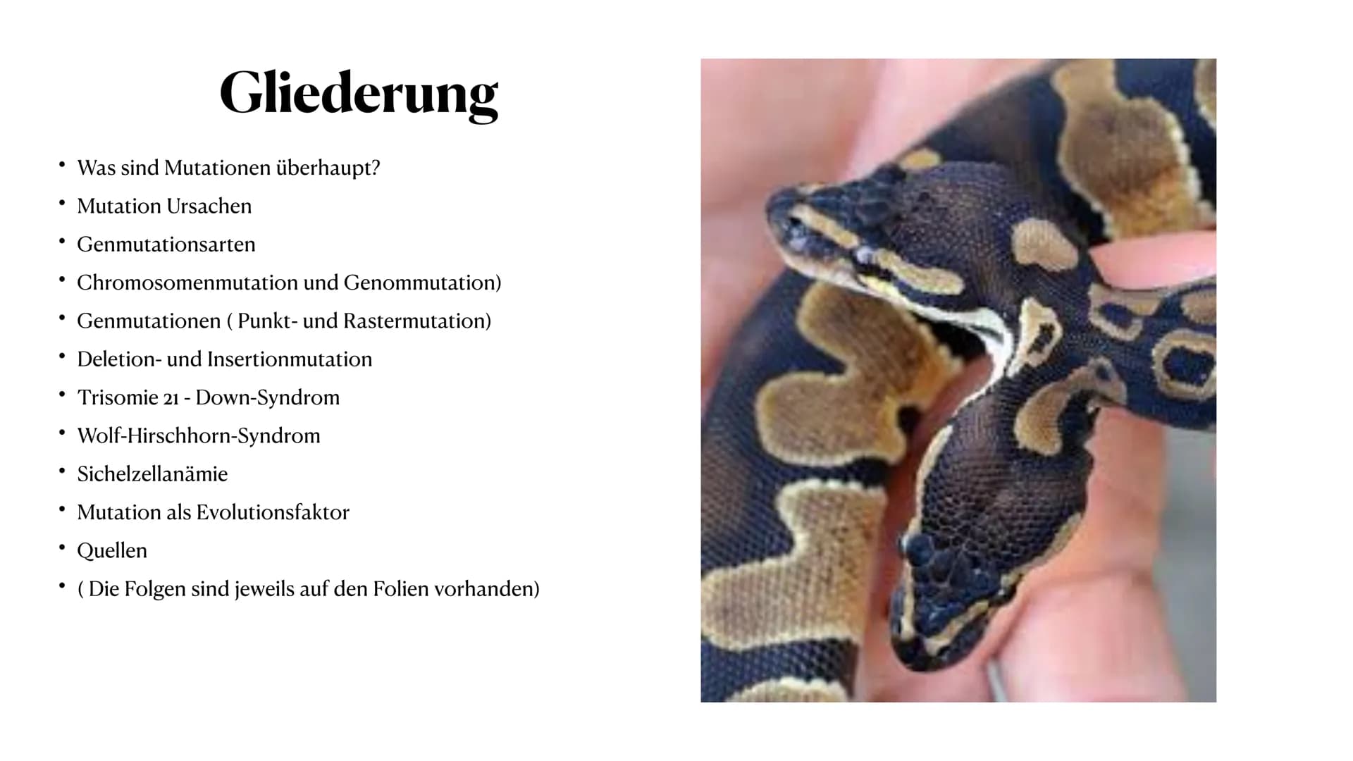 Mutation
Biologie_Lk_12
Julia Said, 23.06.2021 Mutation
Biologie_Lk_12
Julia Said, 23.06.2021 ●
●
●
Gliederung
●
Was sind Mutationen überhau
