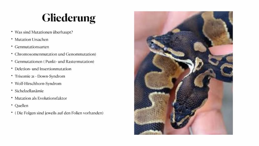 Mutation
Biologie_Lk_12
Julia Said, 23.06.2021 Mutation
Biologie_Lk_12
Julia Said, 23.06.2021 ●
●
●
Gliederung
●
Was sind Mutationen überhau