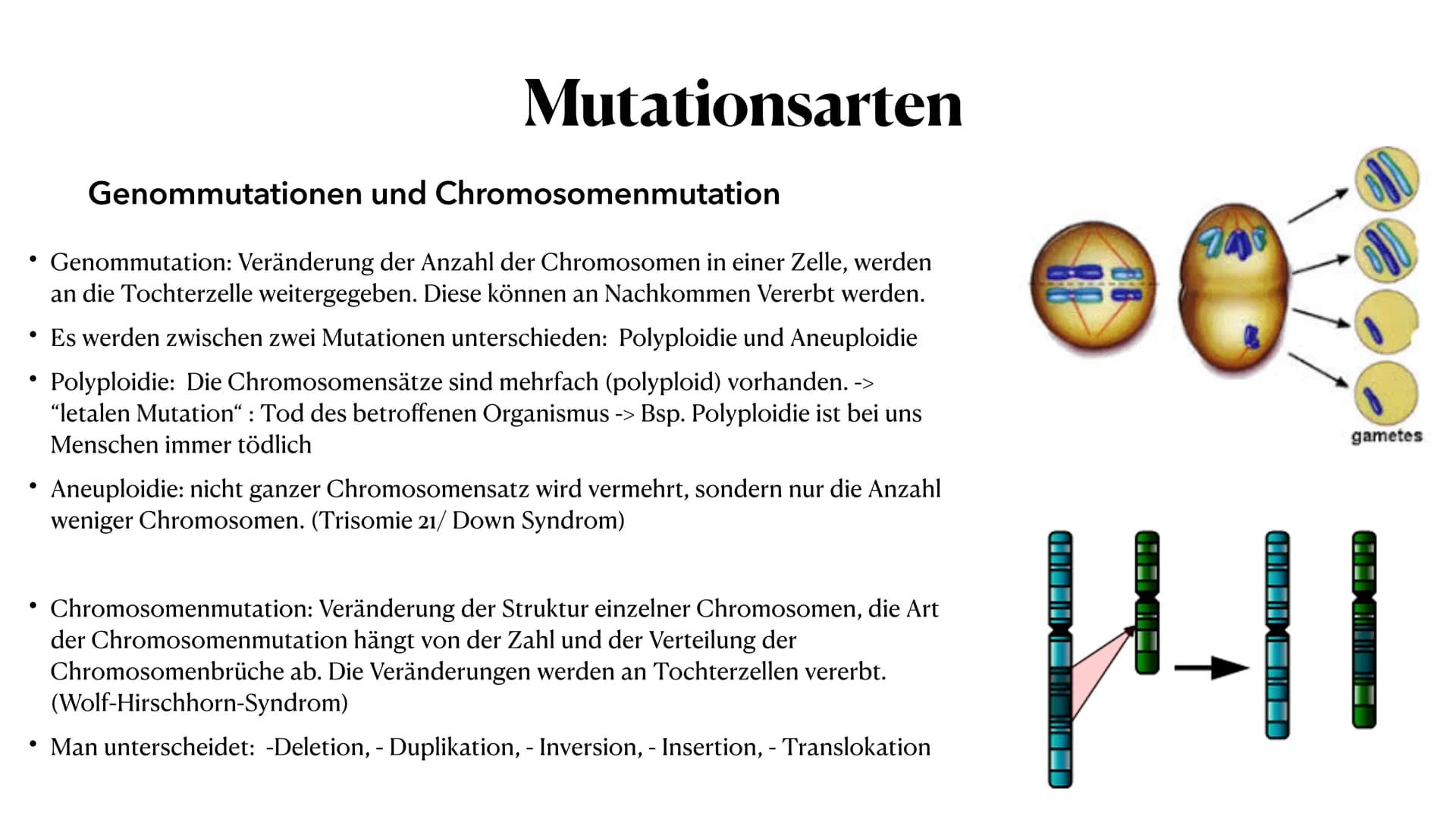 Mutation
Biologie_Lk_12
Julia Said, 23.06.2021 Mutation
Biologie_Lk_12
Julia Said, 23.06.2021 ●
●
●
Gliederung
●
Was sind Mutationen überhau