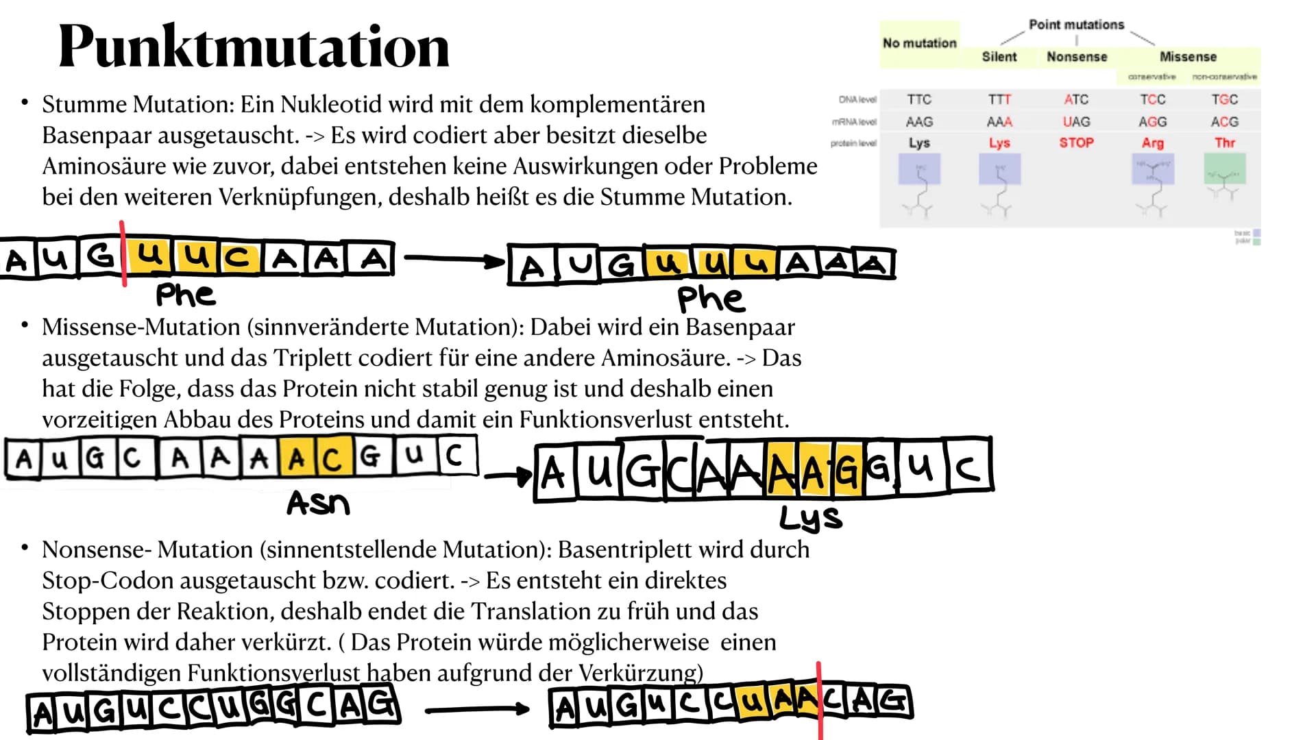 Mutation
Biologie_Lk_12
Julia Said, 23.06.2021 Mutation
Biologie_Lk_12
Julia Said, 23.06.2021 ●
●
●
Gliederung
●
Was sind Mutationen überhau