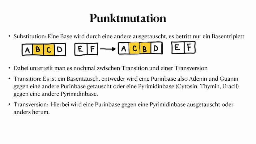 Mutation
Biologie_Lk_12
Julia Said, 23.06.2021 Mutation
Biologie_Lk_12
Julia Said, 23.06.2021 ●
●
●
Gliederung
●
Was sind Mutationen überhau