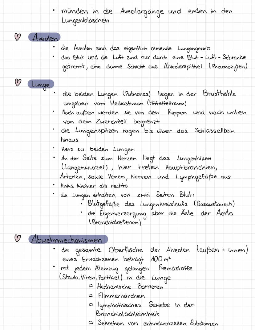 ATMUNGSSYSTEME
Mit Hilfe des Atmungssystems (respiratorische System)
tauscht der Körper Gase mit der
Umgebung
aus
♡
♡
3
♡
♡
♡
Äußere Atmung: