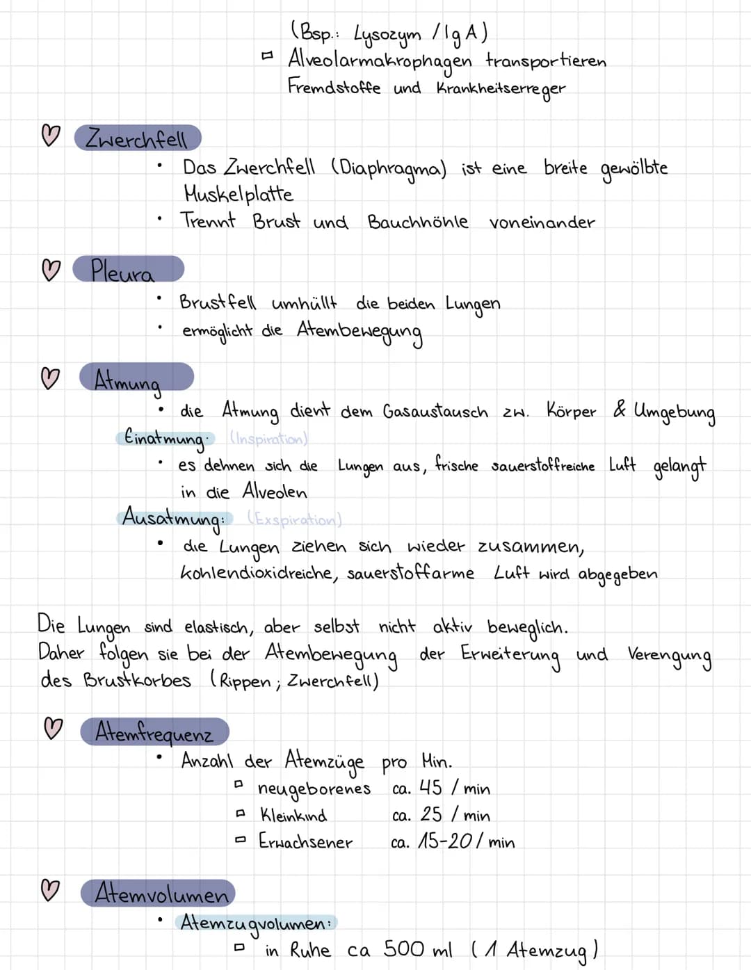 ATMUNGSSYSTEME
Mit Hilfe des Atmungssystems (respiratorische System)
tauscht der Körper Gase mit der
Umgebung
aus
♡
♡
3
♡
♡
♡
Äußere Atmung: