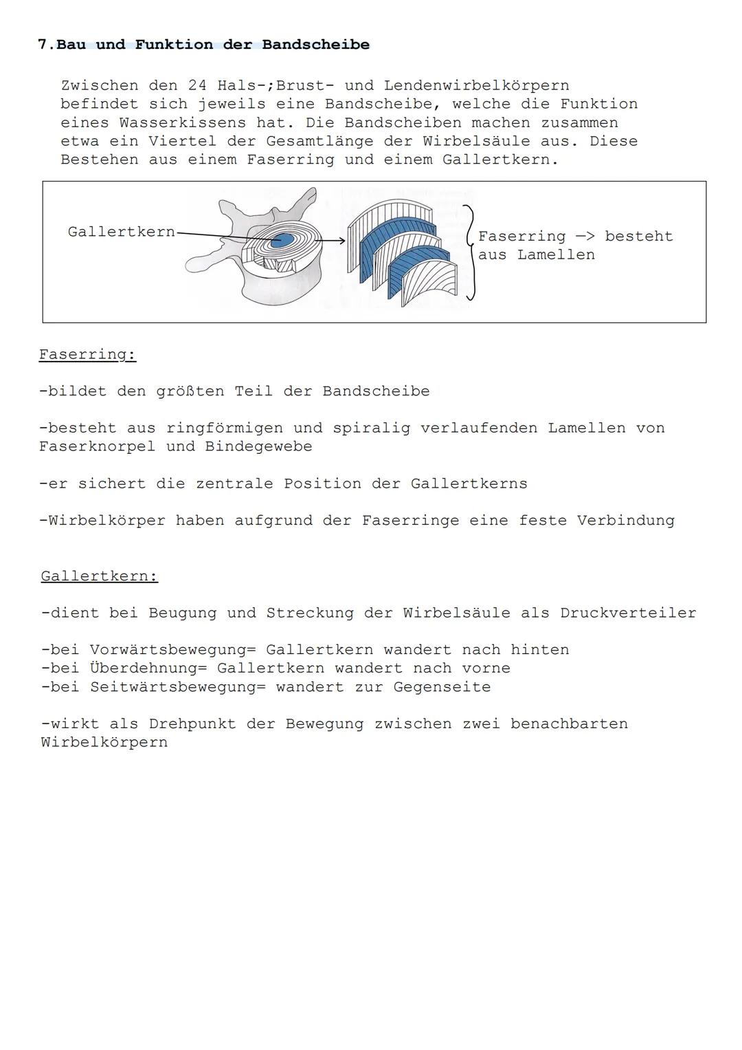 Die Wirbelsäule ist die zentrale bewegliche Achse des Skeletts. Sie
bildet die Basis für die Extremitätenbewegungen und die Haltung des
Kopf