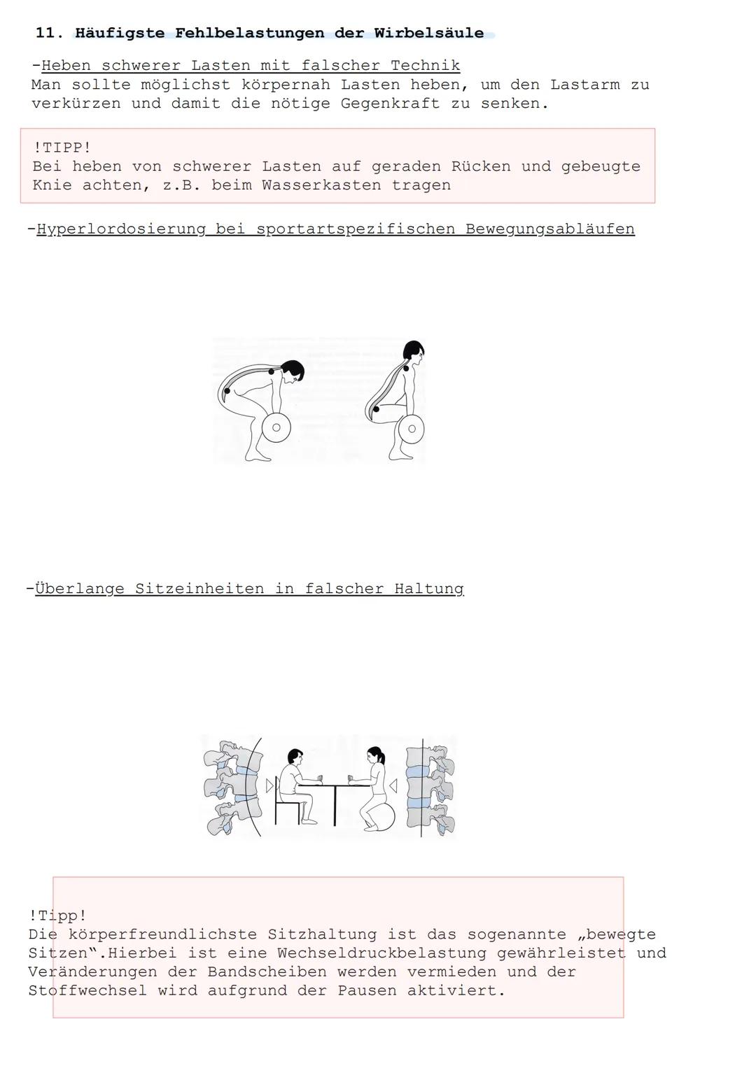 Die Wirbelsäule ist die zentrale bewegliche Achse des Skeletts. Sie
bildet die Basis für die Extremitätenbewegungen und die Haltung des
Kopf