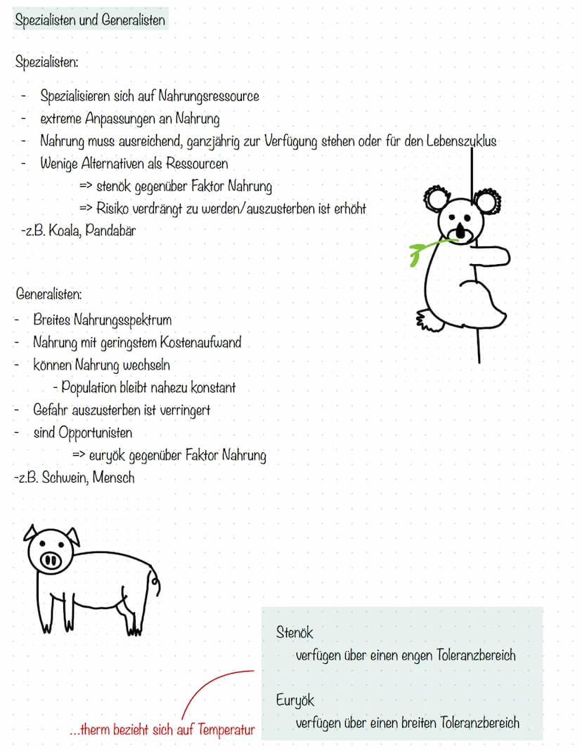  Operator
ableiten
analysieren
angeben
anwenden
auswerten
begründen
benennen
berechnen /
bestimmen
beschreiben
beurteilen
bewerten
darstelle