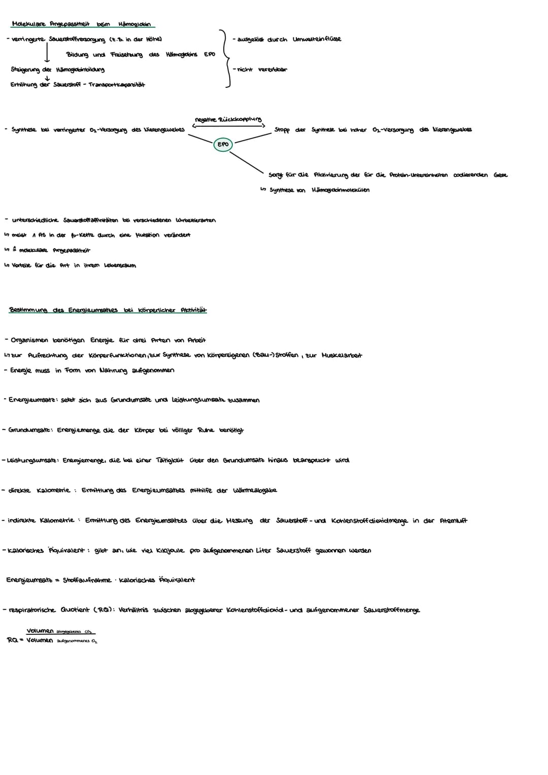 Biologie
Thema 2: Energiestoffwechsel und Sport
Kurzfristige und Langfrishge Anpassung an Belastung
kurzfristig
- Muskulatur: stärkene Durch