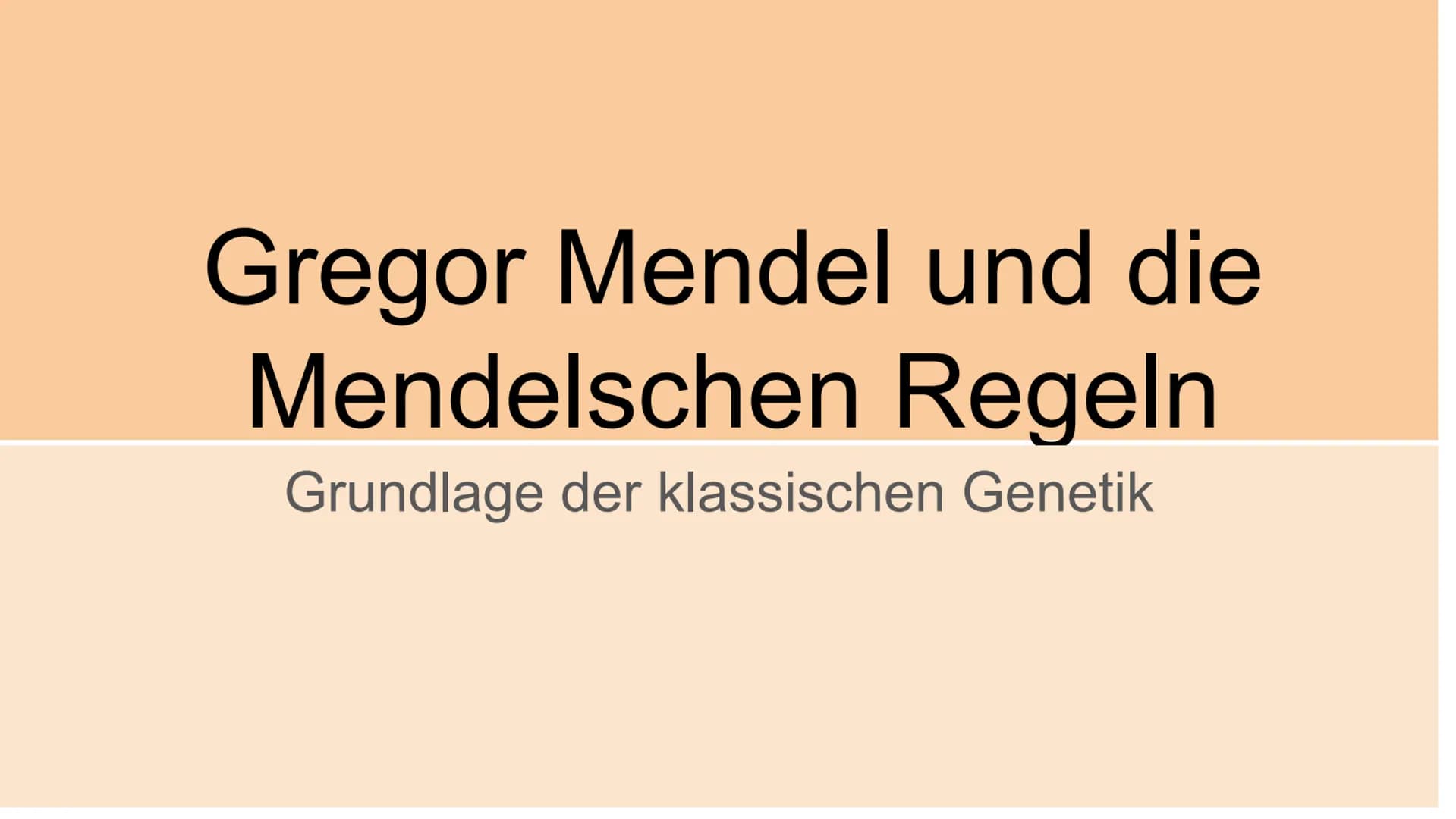 Gregor Mendel und die
Mendelschen Regeln
Grundlage der klassischen Genetik Gregor Johann Mendel
Mendel (1822-1884) war ein Augustiner Mönch 